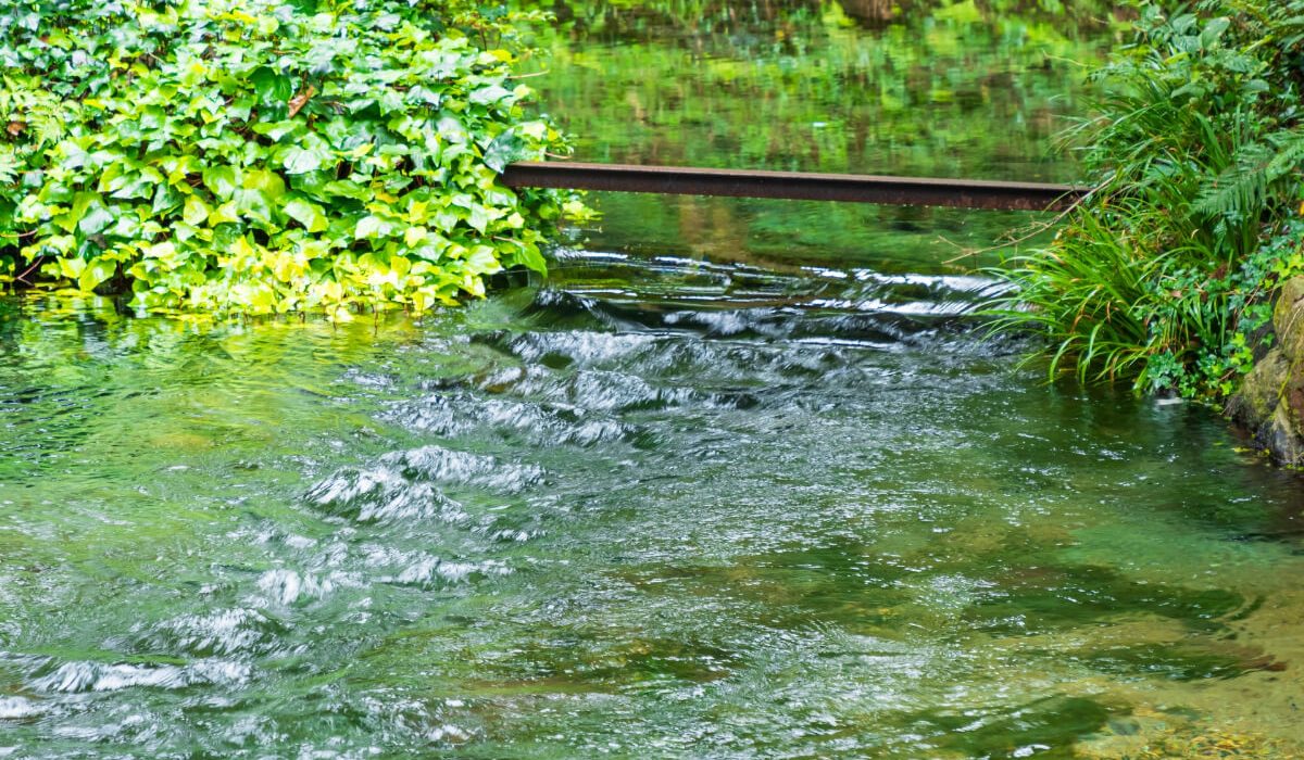 きれいな湧き水