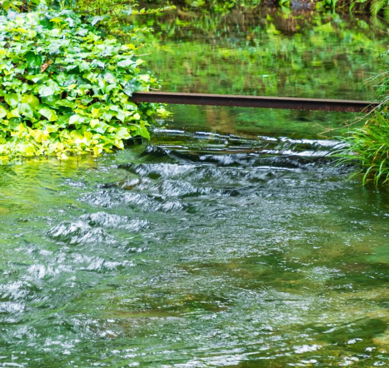 きれいな湧き水