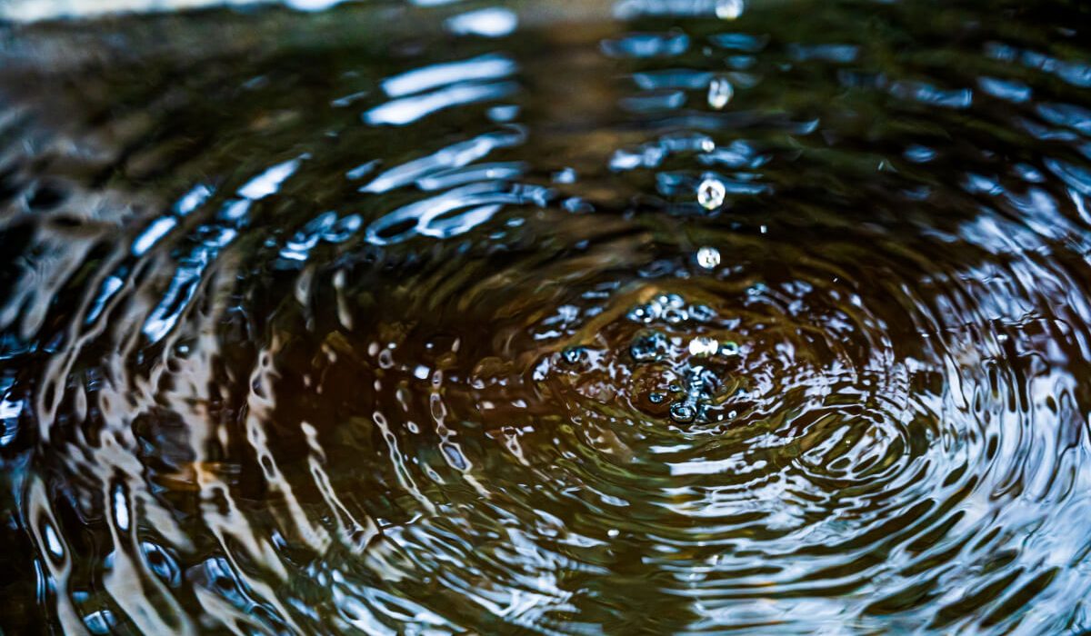 滴り落ちる見ず