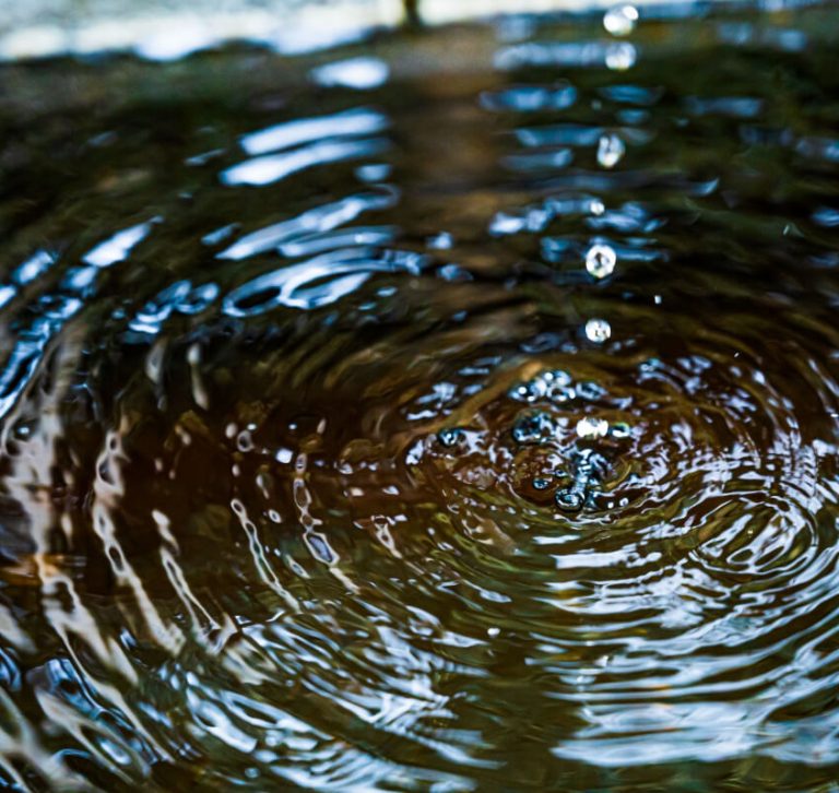 滴り落ちる見ず